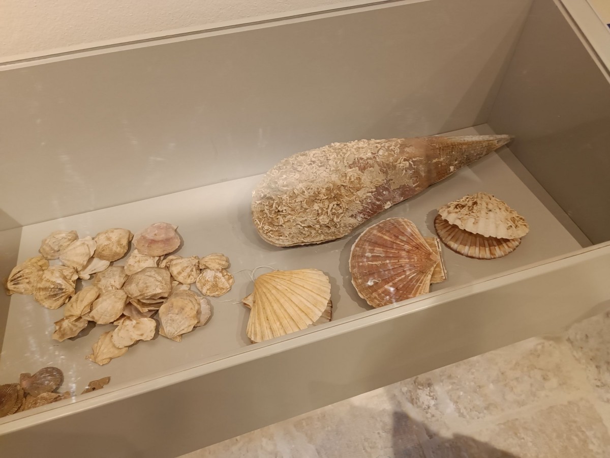 Odobreni projekti u okviru Mjere 2.1.