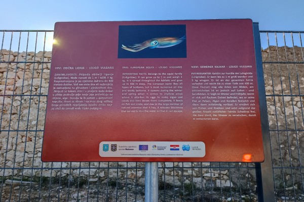 "Ražanac - &scaron;krinja s blagom"