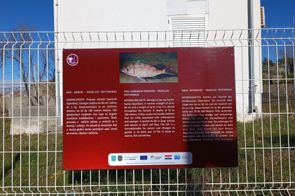 "Očuvanje kulturne - maritimne ba&scaron;tine u Općini Ražanac" - Morske radosti