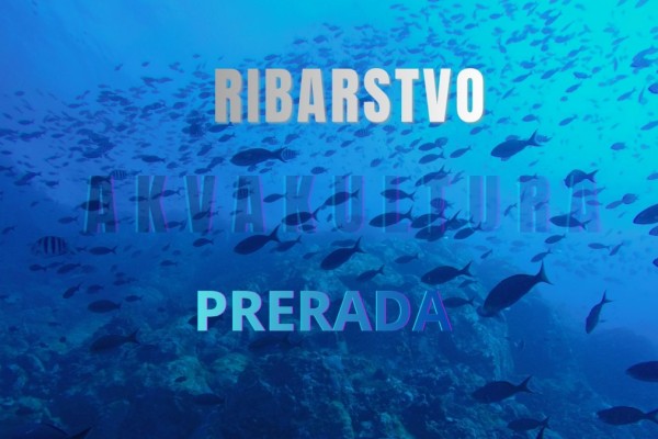 Objavljen 2. Natječaj FLAG-a Tri mora za Mjeru 1.2.