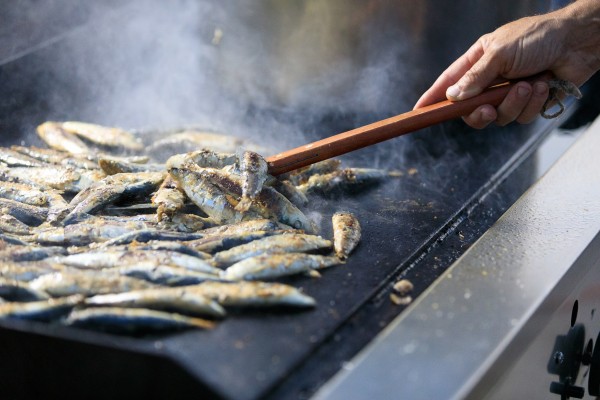 "Očuvanje i promocija kulturno - maritimne ba&scaron;tine" - Okusi ba&scaron;tinu faza 2.