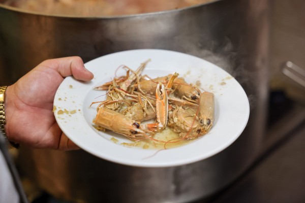 "Velebitski &scaron;kamp - neispričana priča"