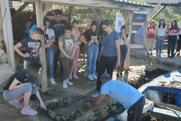 "Očuvanje Tradicije, Akvakulture i Ribarstva Novigrada, Obrovca i Starigrada" - OTARNOS