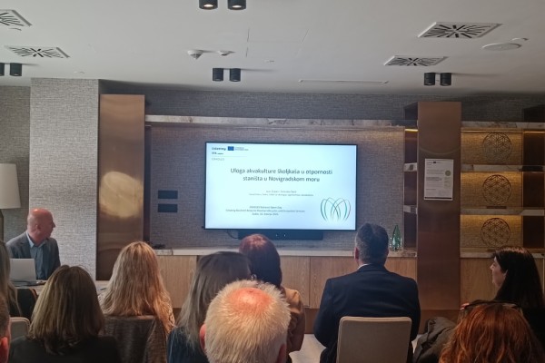 CRADLES National Open Day