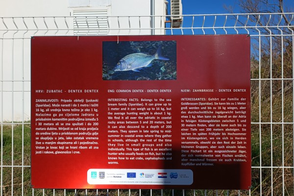 "Očuvanje kulturne - maritimne ba&scaron;tine u Općini Ražanac" - Morske radosti