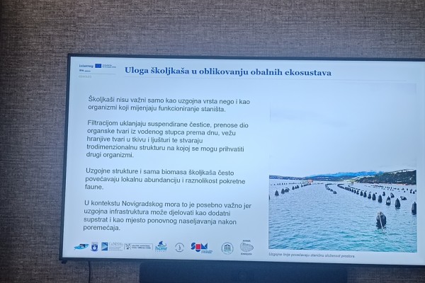 CRADLES National Open Day