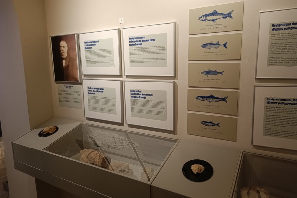 "Opremanje kuće dežderatovica" - prezentacijskog centra pomorstva i ribarstva Novigradskog akvatorija postavom namijenjenim djeci pred&scaron;kolskog i &scaron;kolskog uzrasta, s posebnim naglaskom na ekologiju mora