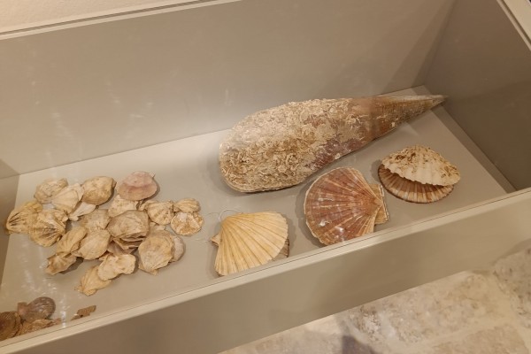 Odobreni projekti u okviru Mjere 2.1.