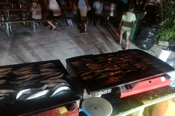 "Velebitski &scaron;kamp - neispričana priča"