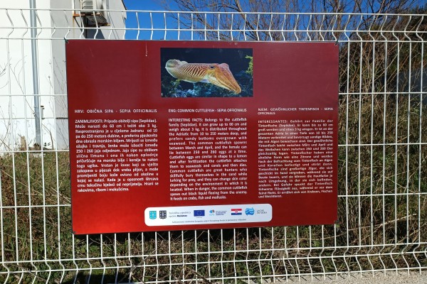 "Očuvanje kulturne - maritimne ba&scaron;tine u Općini Ražanac" - Morske radosti