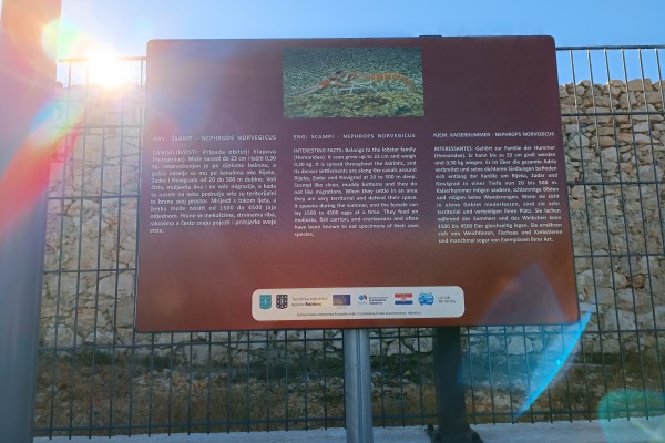"Ražanac - &scaron;krinja s blagom"
