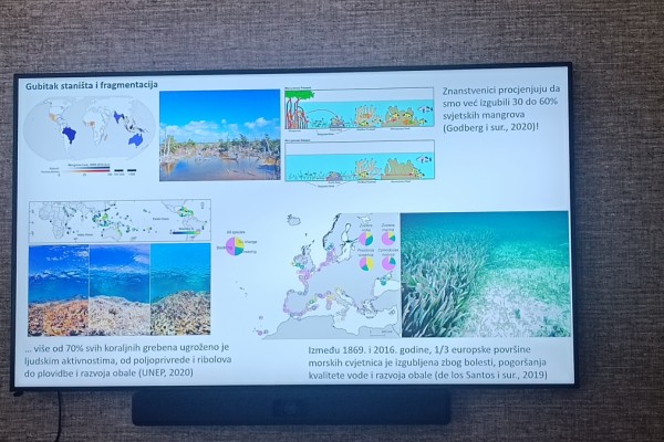 CRADLES National Open Day